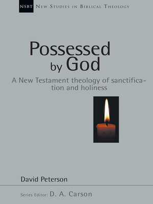 cover image of Possessed by God: a New Testament theology of sanctification and holiness